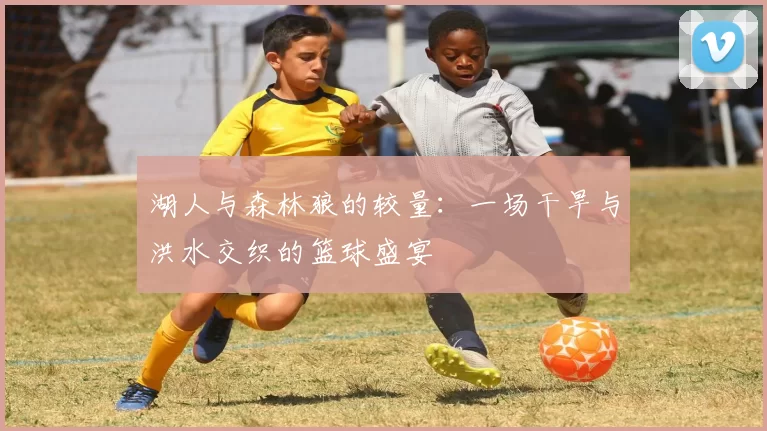 湖人与森林狼的较量：一场干旱与洪水交织的篮球盛宴